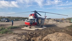 В Камызякском районе фермеры уничтожают камыш с вертолёта
