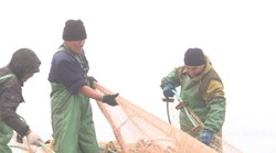 Камызякские рыбаки отметили плюсы и минусы осенней путины