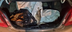 В Камызякском районе у водителя изъяли партию рыбы 