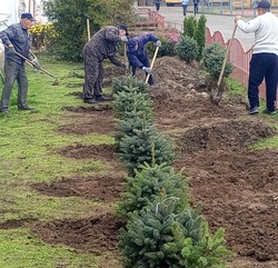 В камызякской школе высадили «Аллею выпускников»