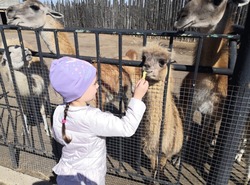 Переселенцы из Донбасса и Мариуполя посетили зоопарк в Камызякском районе