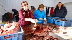 В Камызякском районе успешно работает современный рыбзавод