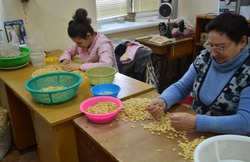Камызякские селекционеры готовы заместить импортные семена