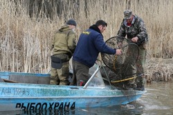 В Камызякском районе продолжают рыбачить запрещенными способами