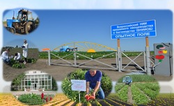  Всероссийский НИИ орошаемого овощеводства и бахчеводства отмечает праздник
