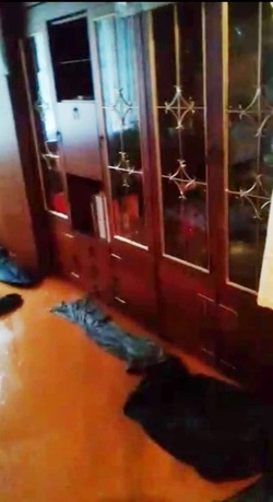 В Камызяке ливень затопил квартиры многоэтажного дома