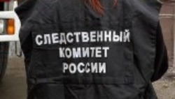 Камызякский подросток подозревается в крупной краже