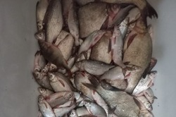 В Камызяке отмечают подъем воды и хороший клёв