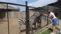 Пенсионеры из Камызякского района посетили зоопарк «Баба Фрося»