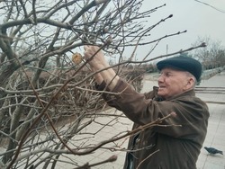 Жители Волго-Каспийского дома-интерната заботятся о зимующих птицах
