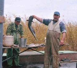 Профессия рыбака остаётся самой востребованной в Астраханской области 