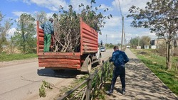 Камызякские коммунальщики продолжают ликвидировать несанкционированные свалки