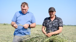 Камызякские фермеры занимаются заготовкой сена