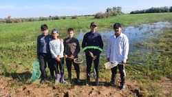 Камызякские голубые патрули наращивают усилия по спасению малька
