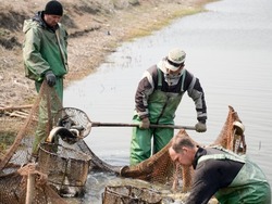Путина-2022: в Камызякском районе выявлены нарушения правил рыболовства