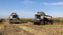 В Камызякском районе в разгаре уборка риса