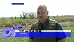 Корреспонденты «Астрахань 24» побывали в гостях у фермера из Иванчуга