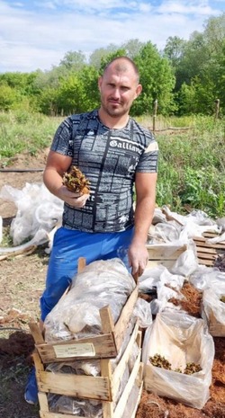 Фермер из Камызякского района выращивает клубнику благодаря гранту «Агростартап»