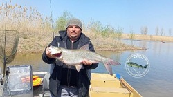 В Камызякском районе усилился ход рыбы и контроль над рыболовами