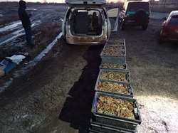 В Камызякском районе задержали ростовчанина за незаконную перевозку раков