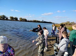 Жители камызякского села предотвратили замор рыбы