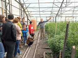 Камызякские школьники побывали на экскурсии в тепличном комплексе